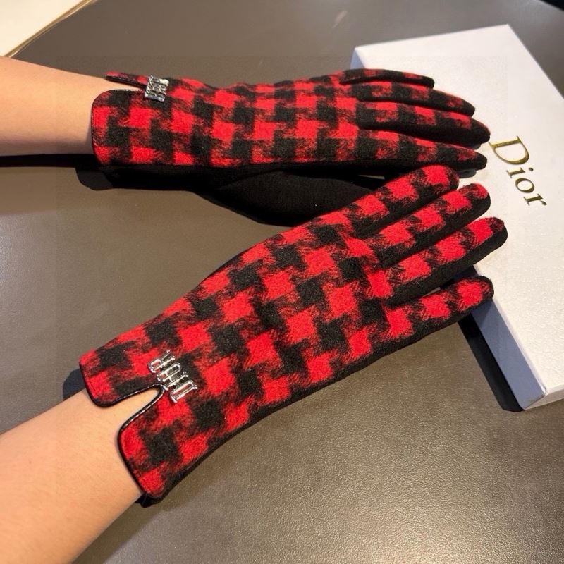 Christian Dior Gloves